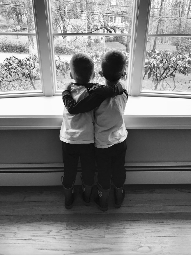 D7F62702-2EE1-42A9-BA43-880BA3FD4327